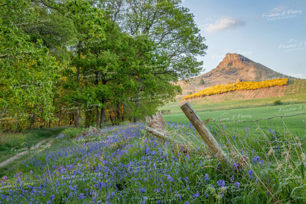 To buy a print or any of the below please click on the images